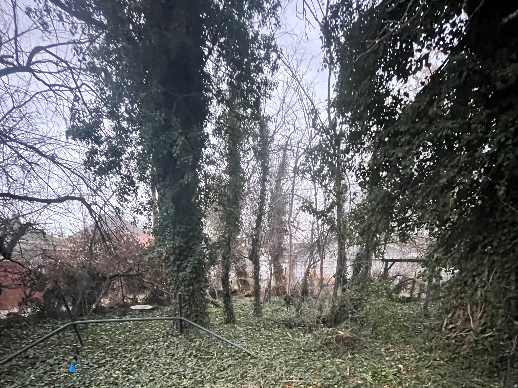 ALTA PLACE - Residential