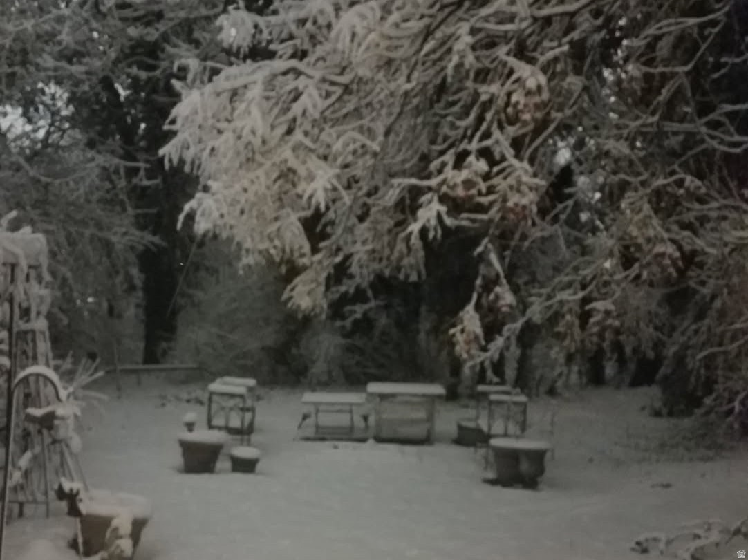 ALTA PLACE - Residential