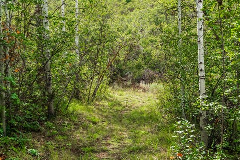 Tiny photo for 29 CANYON CT, Park City, UT 84060 (MLS # 2179556)