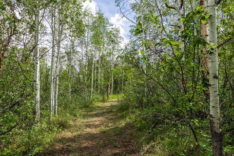 Tiny photo for 29 CANYON CT, Park City, UT 84060 (MLS # 2179556)
