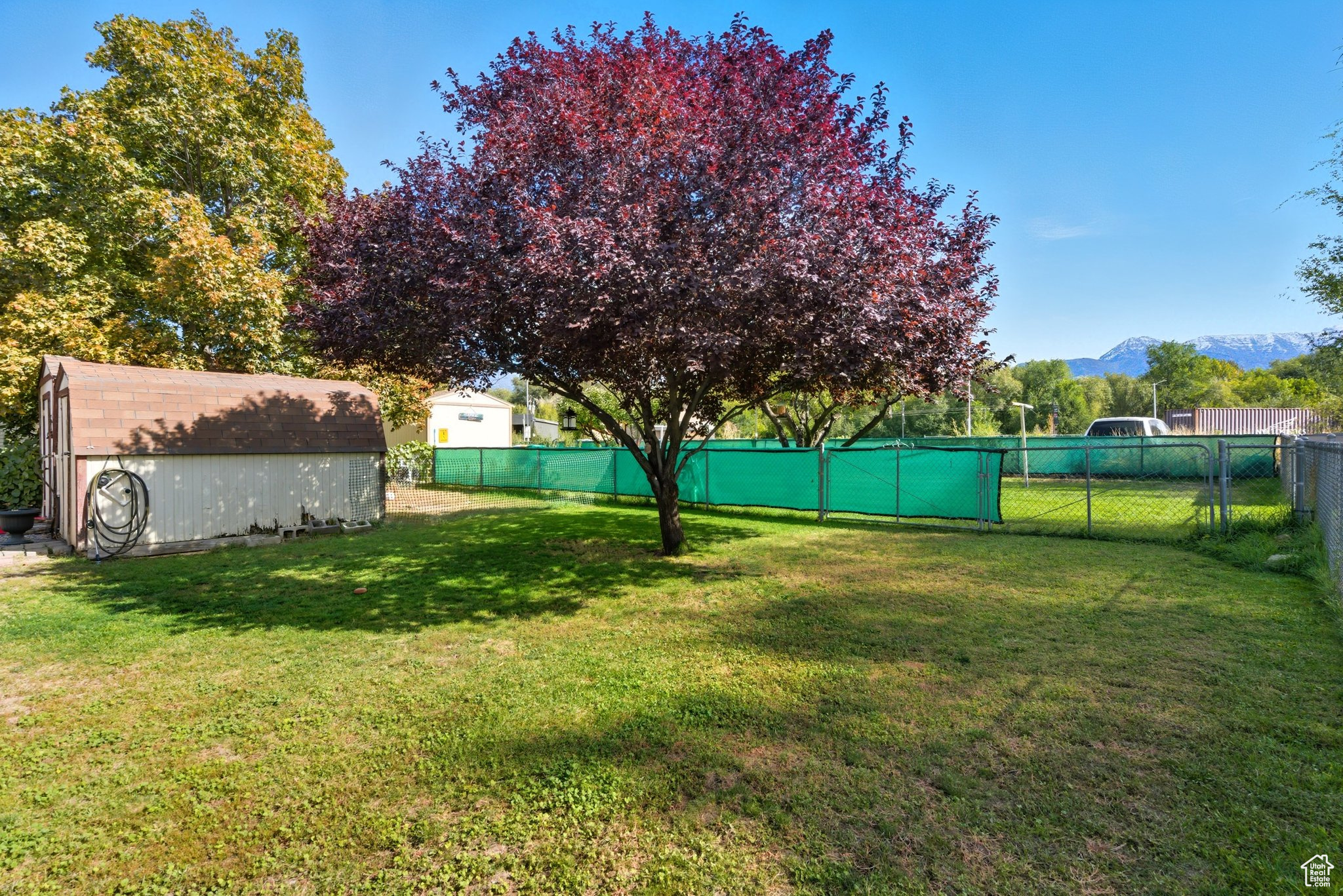 PICCUS - Residential