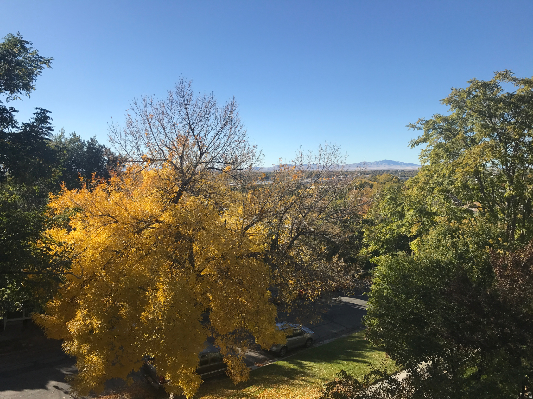 CAPITOL GARDENS - Residential