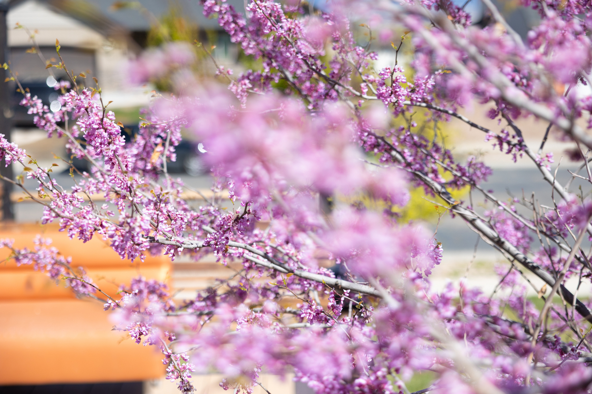 ASHLEY HEIGHTS PLAT B - Residential