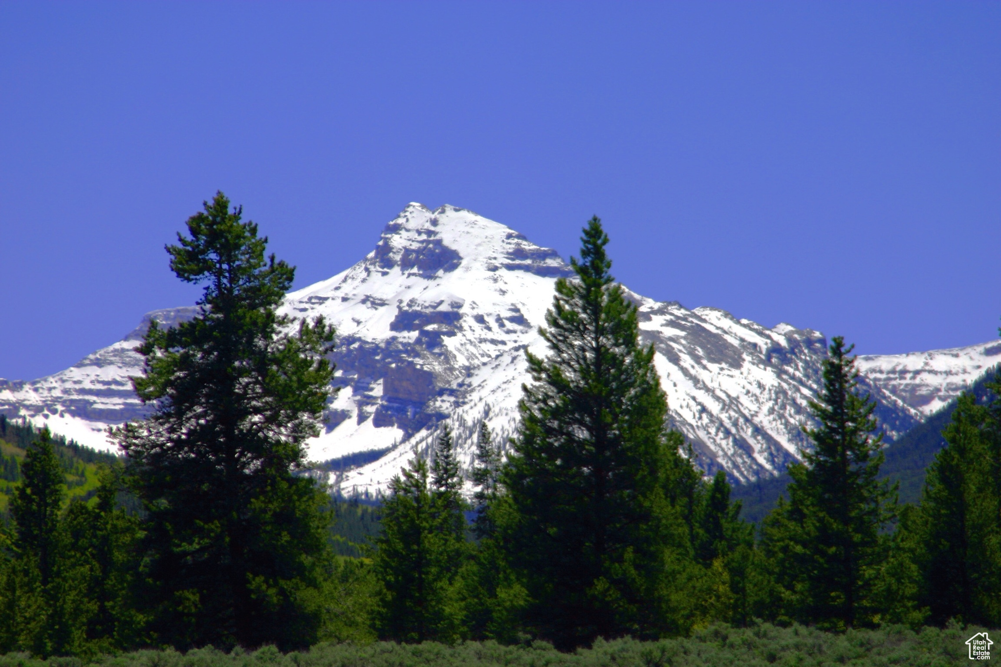 MONVISO - Land