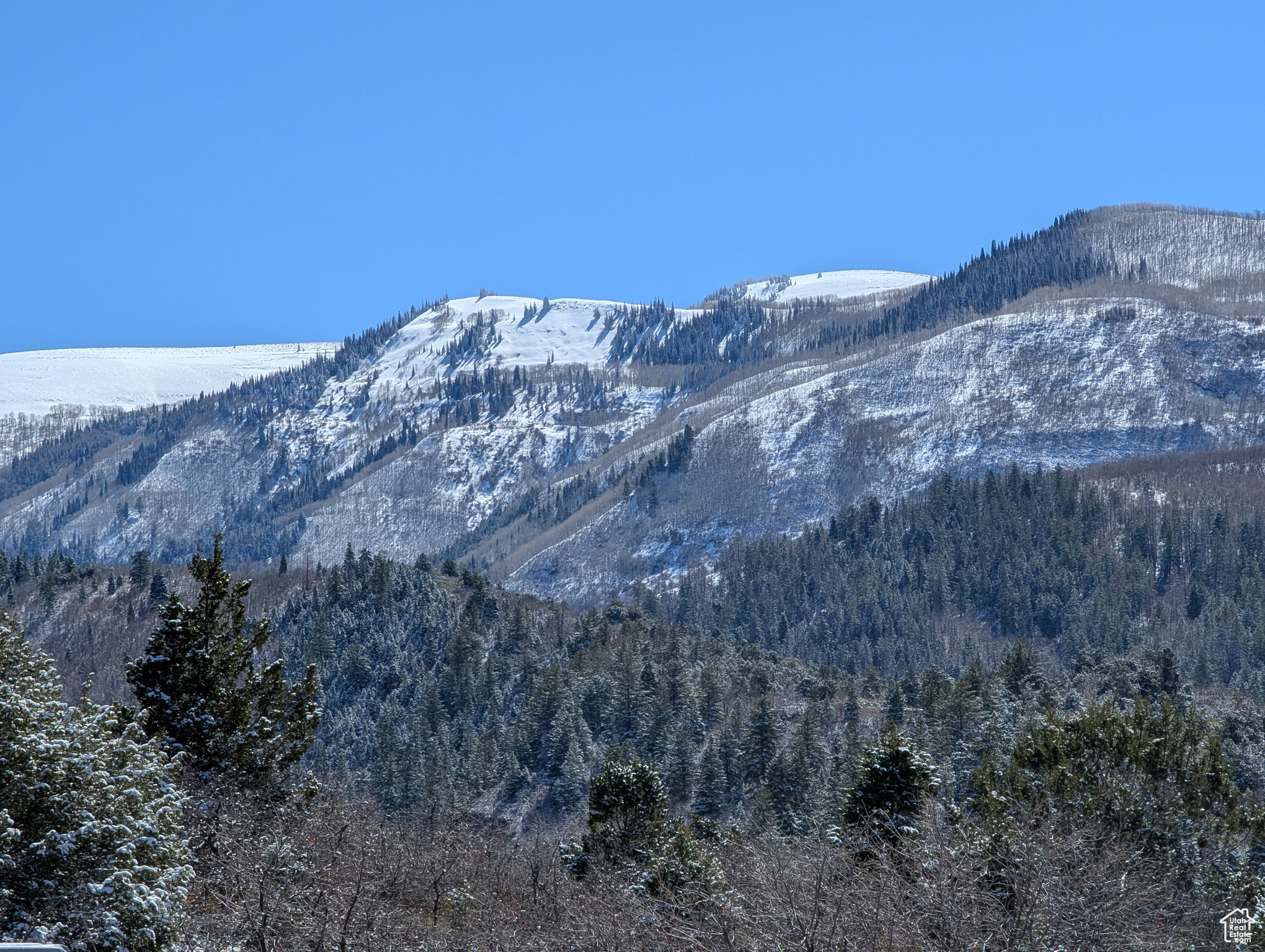 SKYLINE MOUNTAIN RES - Land