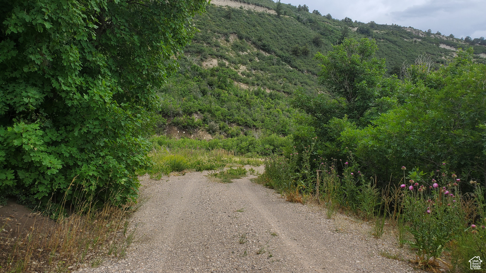 SKYLINE MOUNTAIN RES - Land