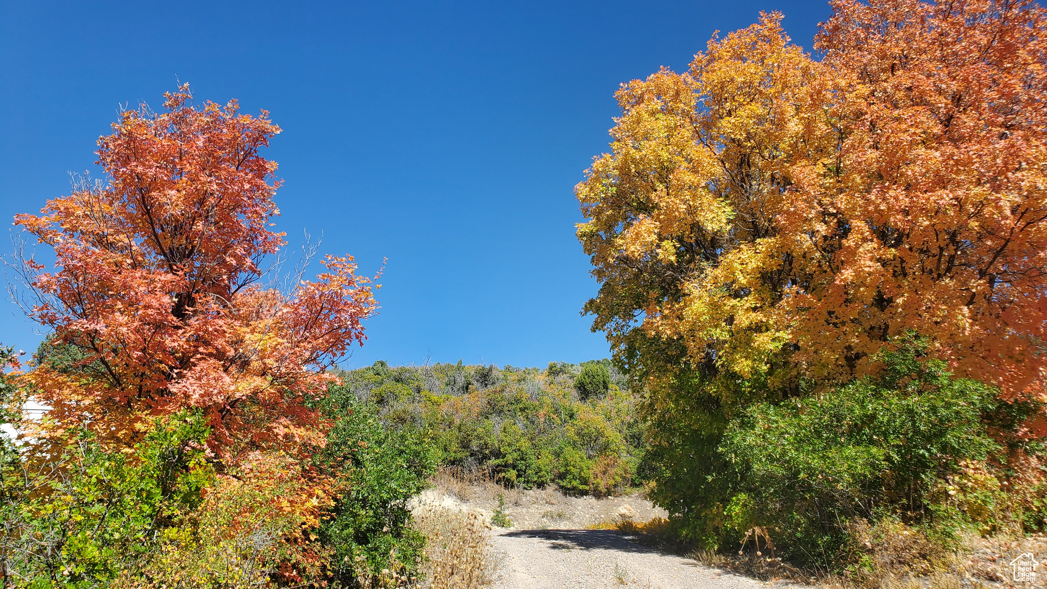 SKYLINE MOUNTAIN RES - Land
