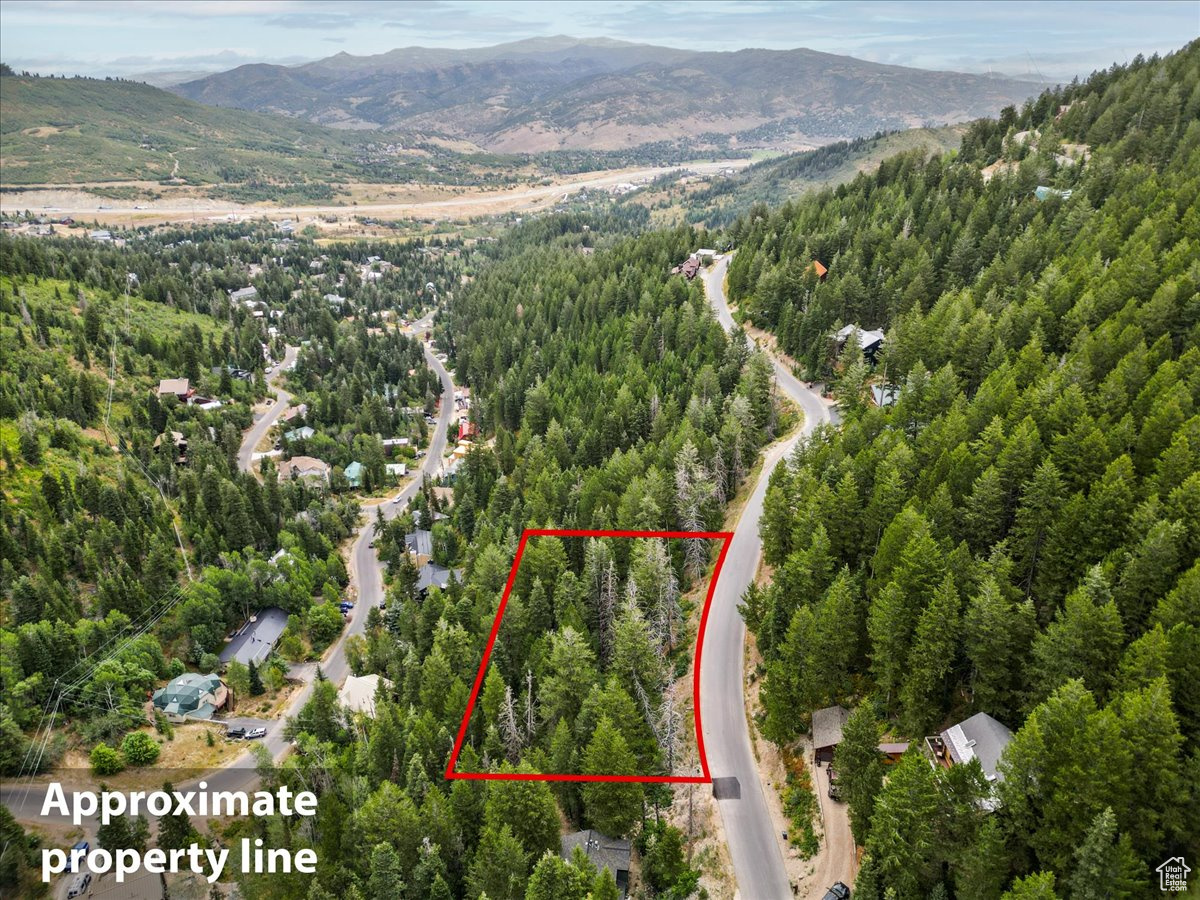 550 MATTERHORN DR 91