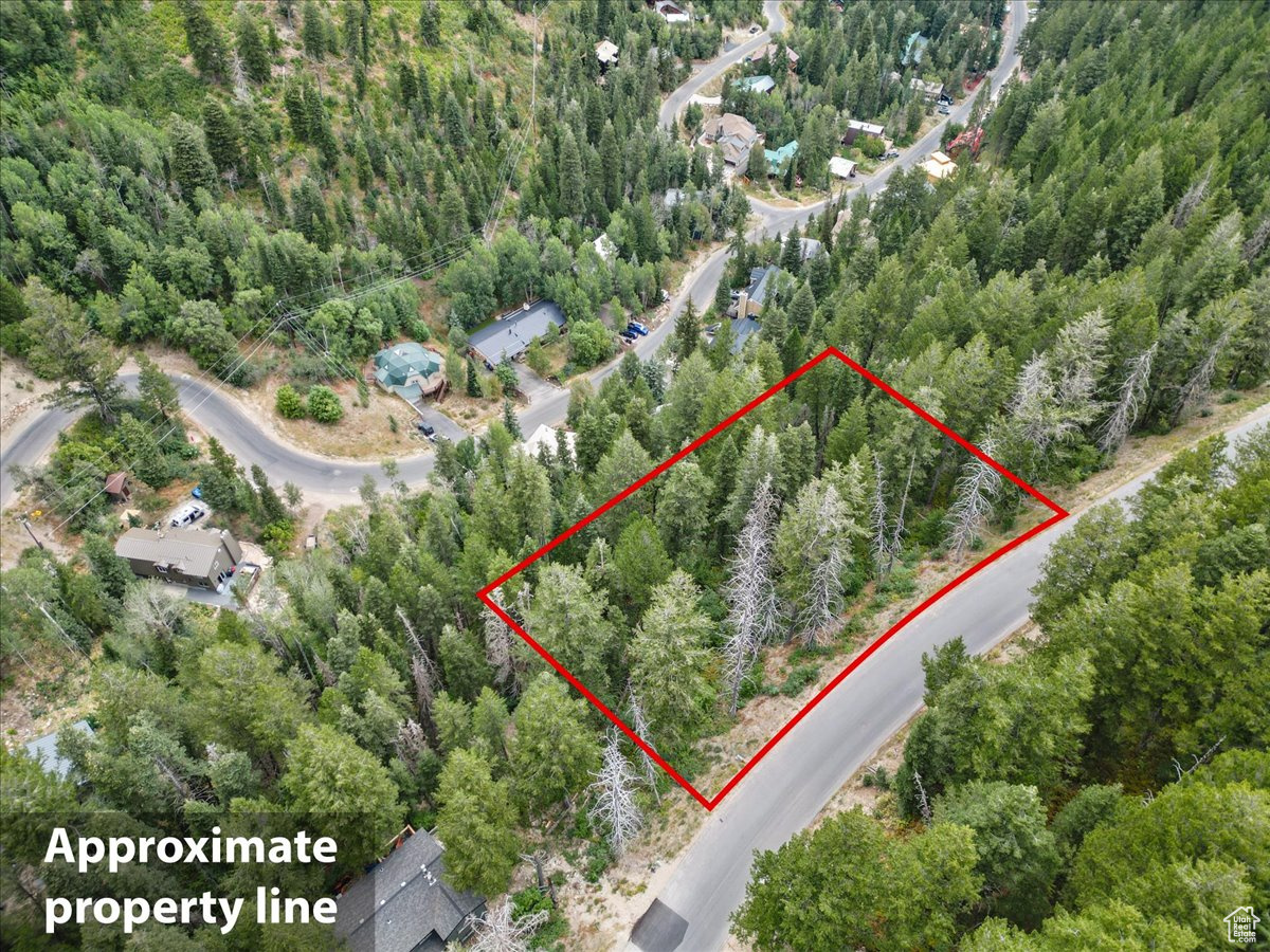 550 MATTERHORN DR 91