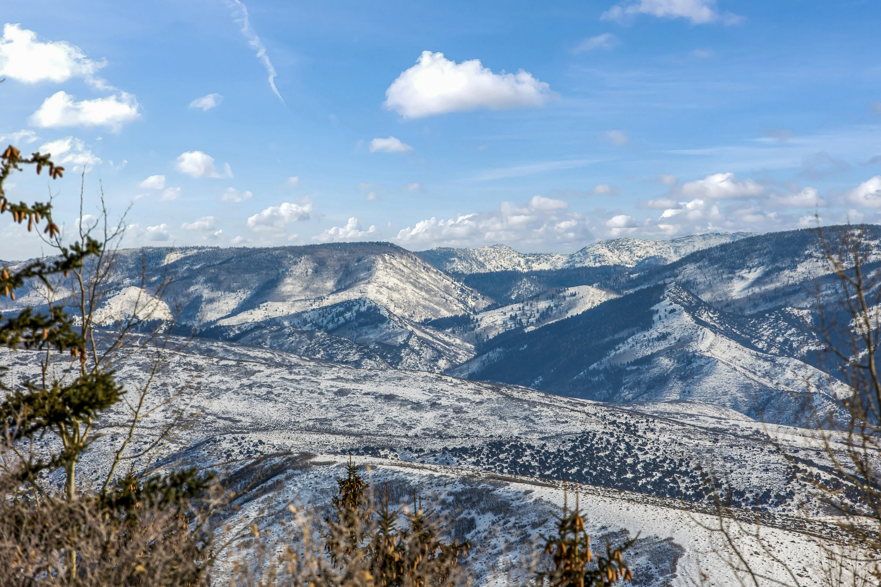 DEER CROSSING - Land