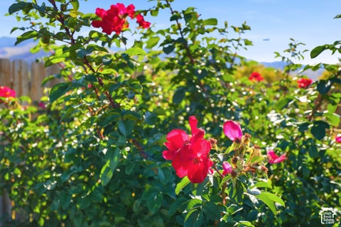 Tiny photo for 702 E CANYON RIM ROAD RD N, Smithfield, UT 84335 (MLS # 2190479)