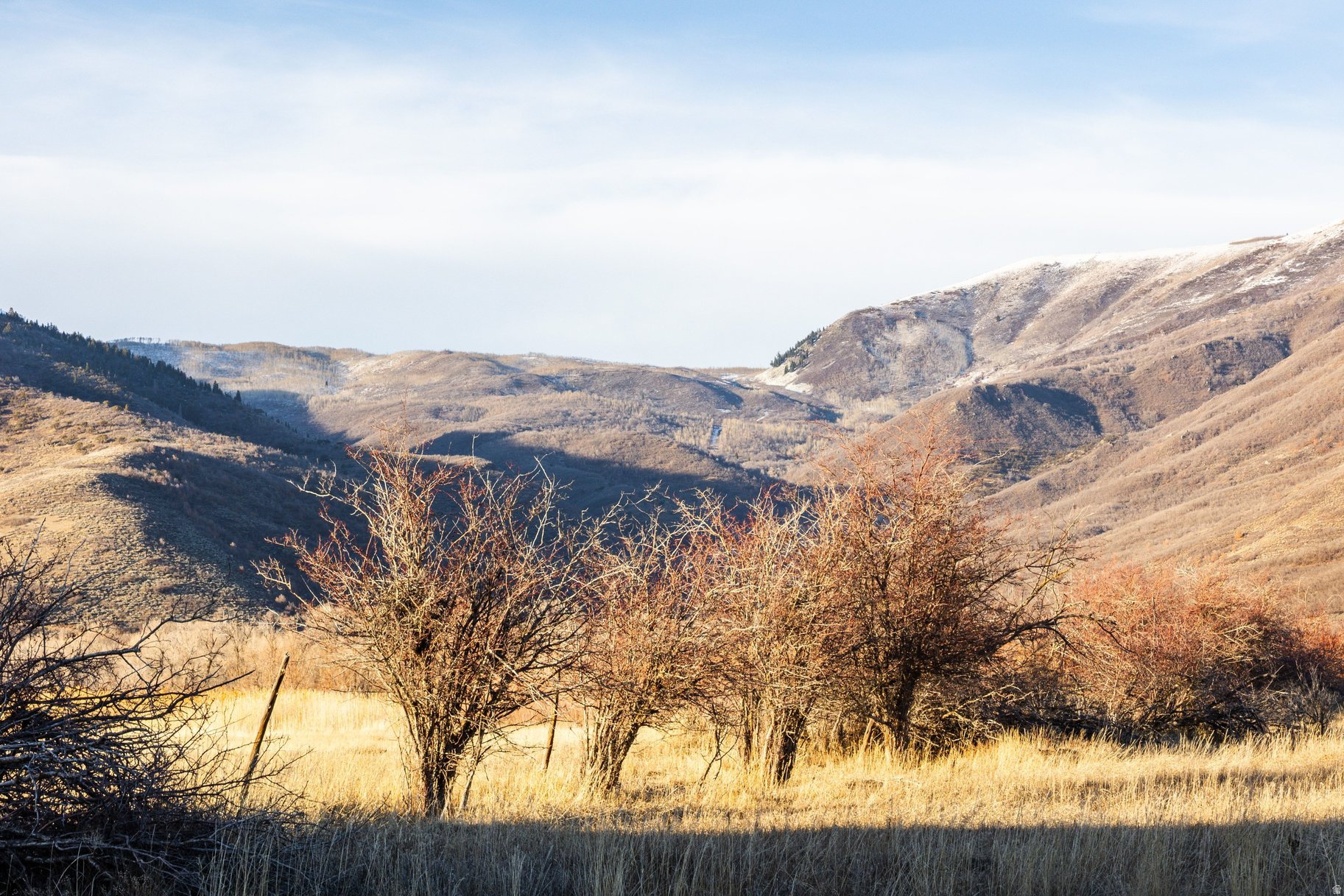 LODGES @ SNAKE CREEK - Residential