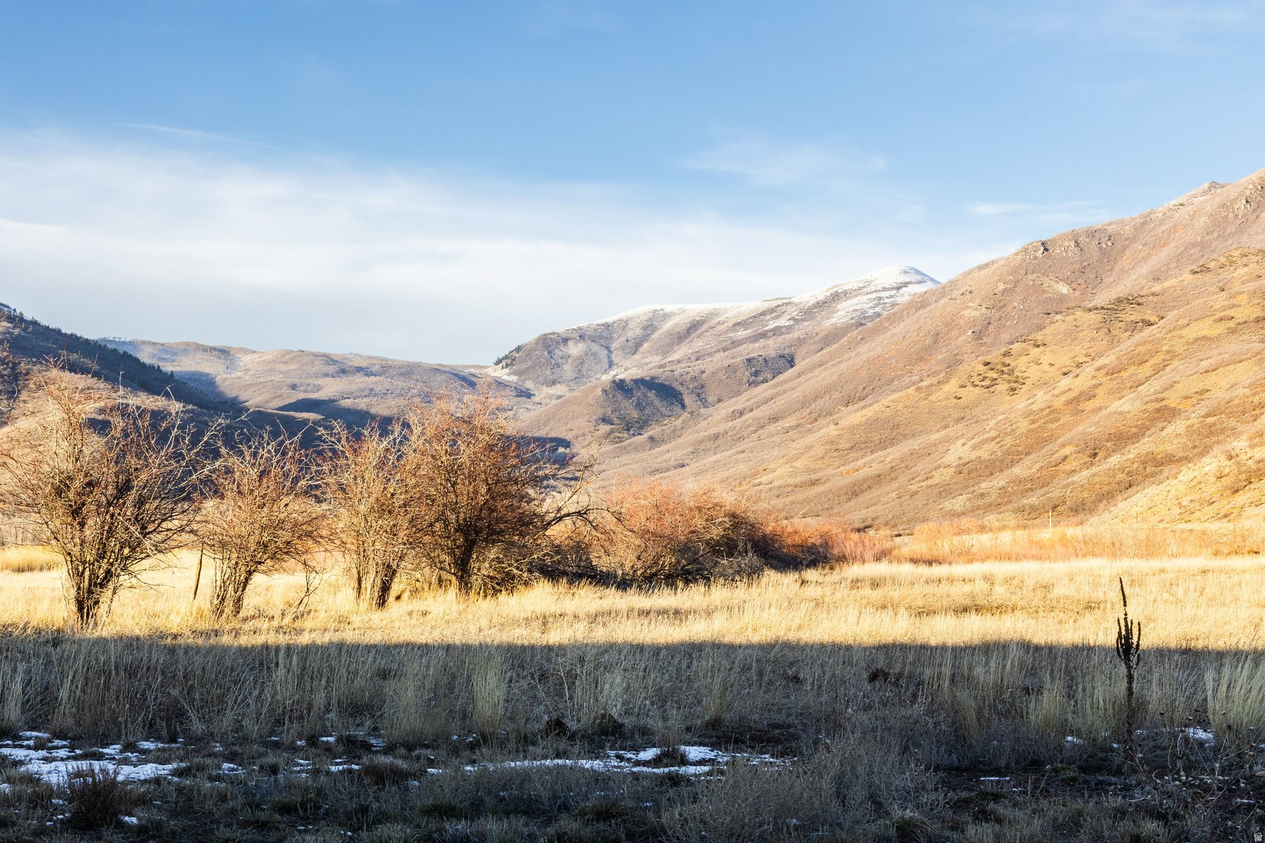 LODGES @ SNAKE CREEK - Residential