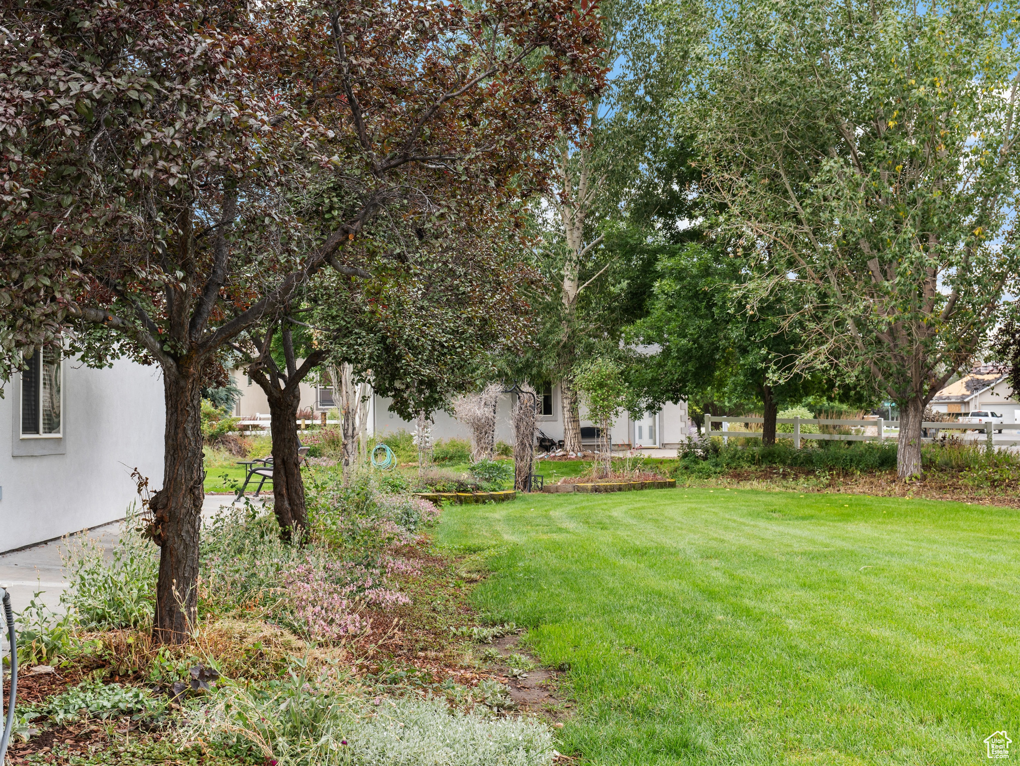 WILD WILLOW - Residential