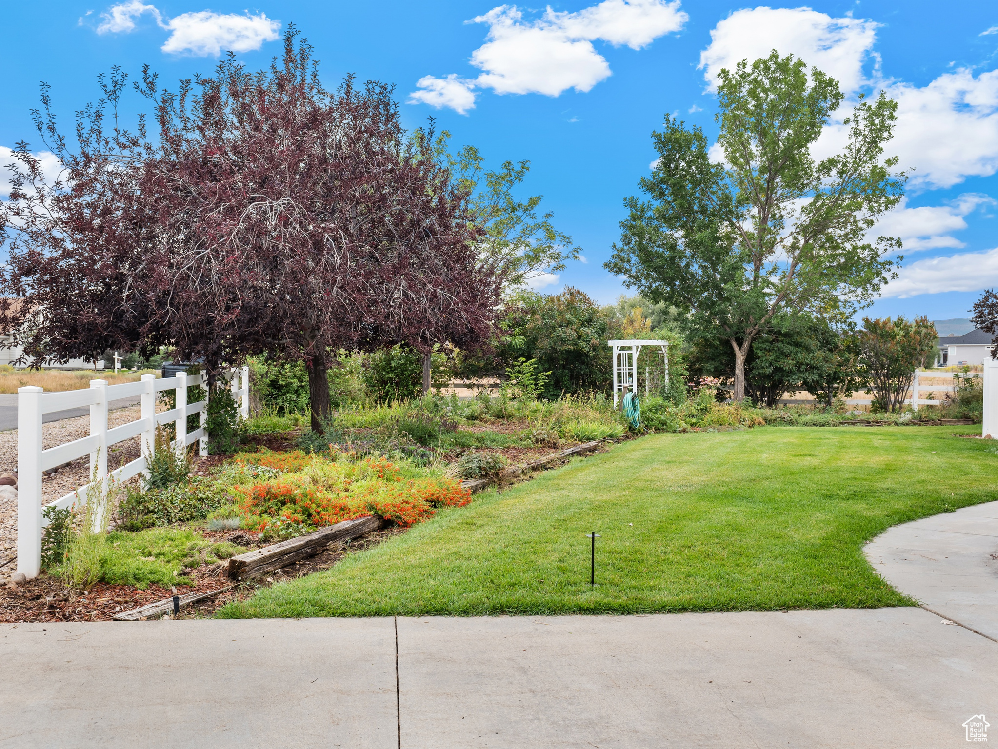 WILD WILLOW - Residential