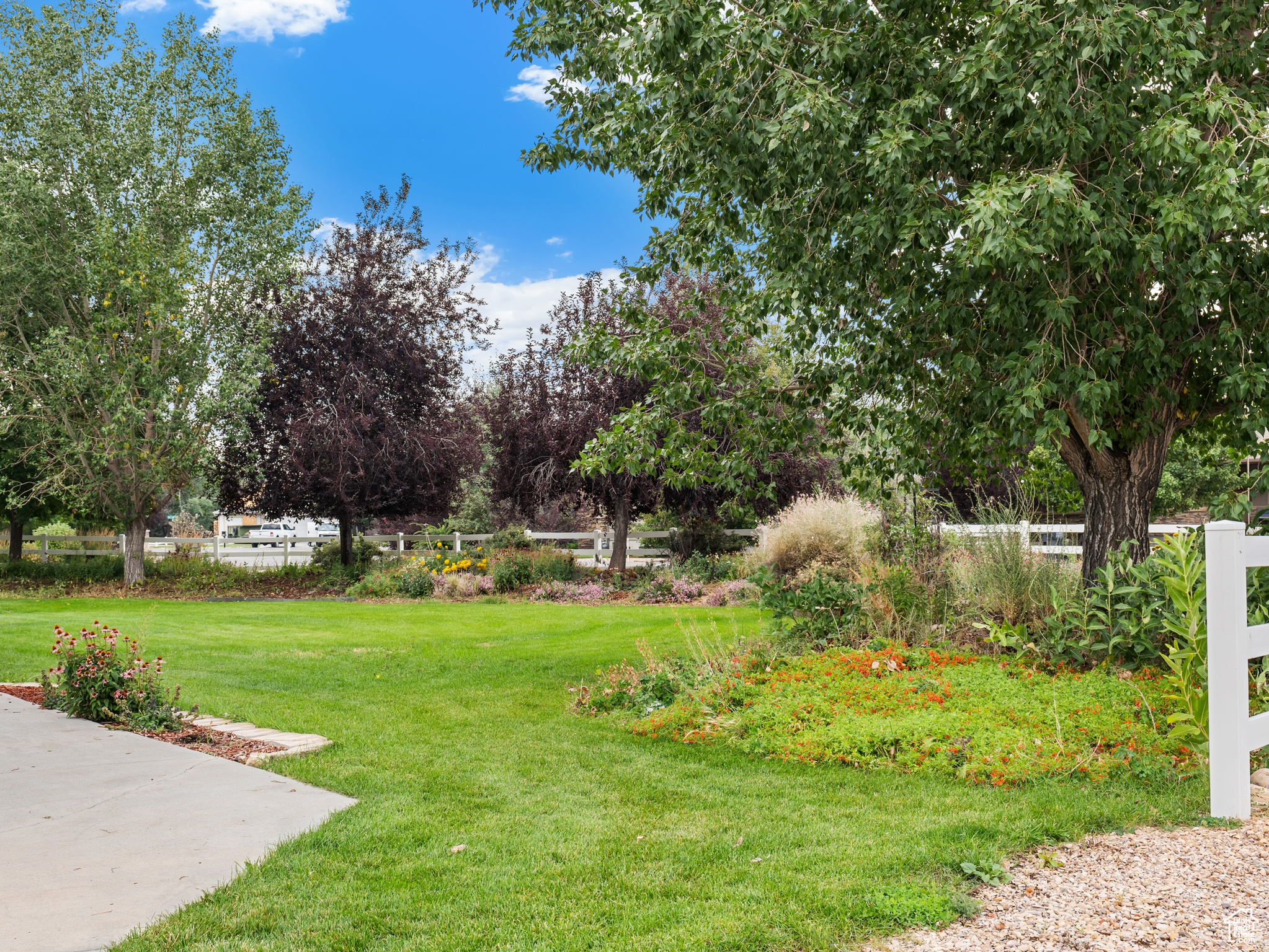 WILD WILLOW - Residential