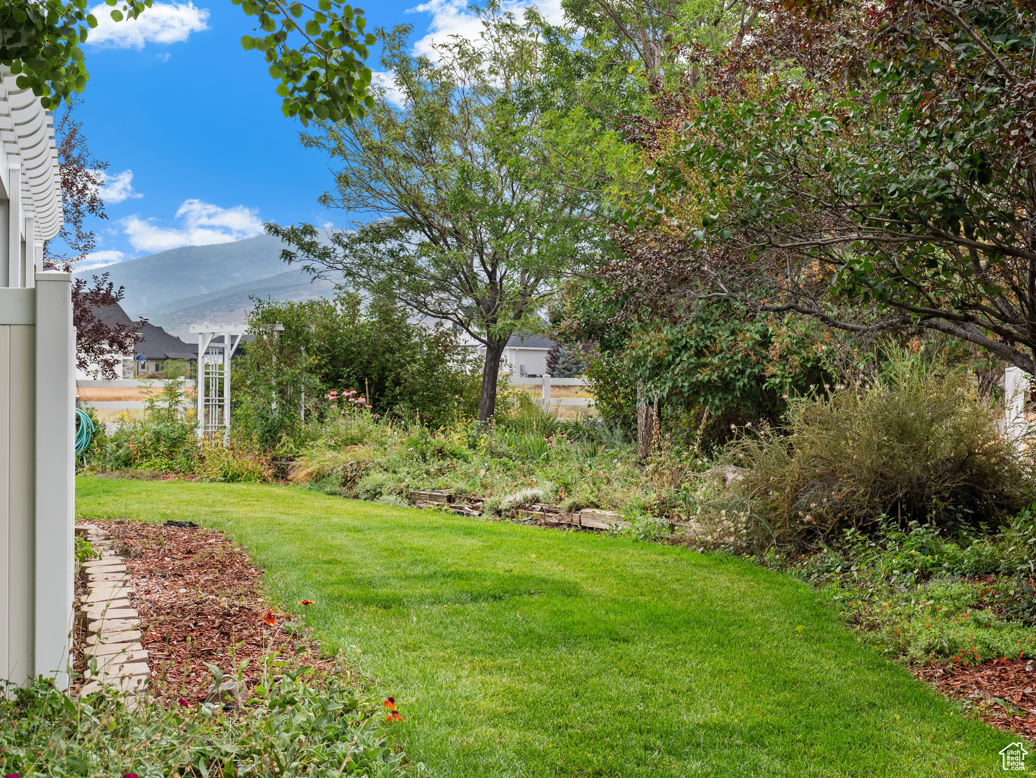 WILD WILLOW - Residential