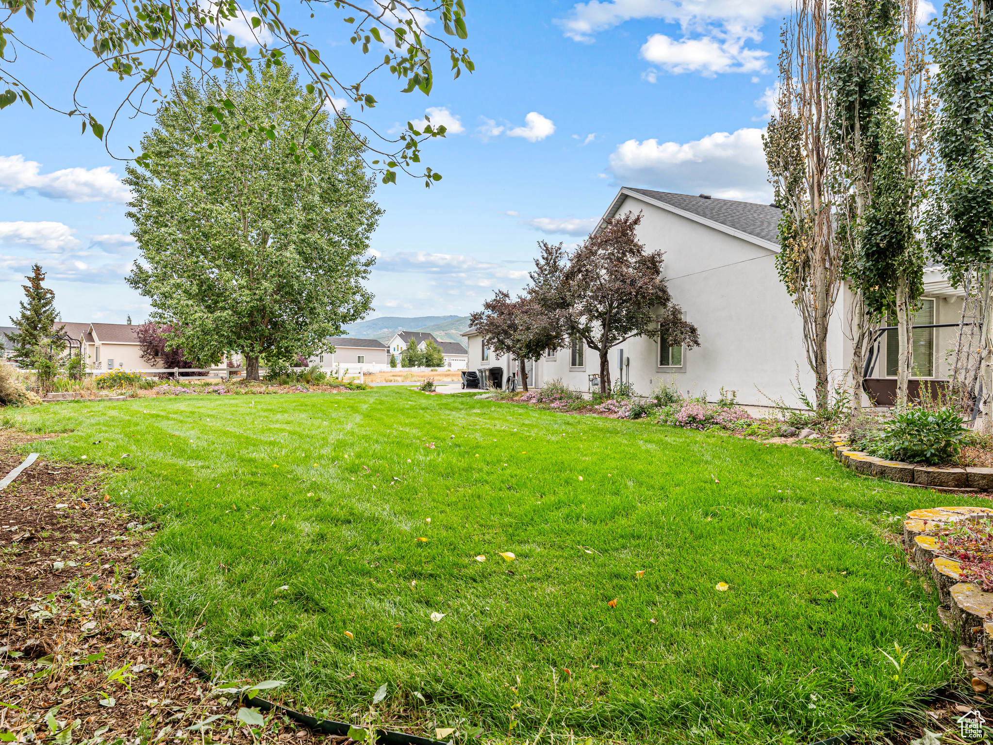 WILD WILLOW - Residential