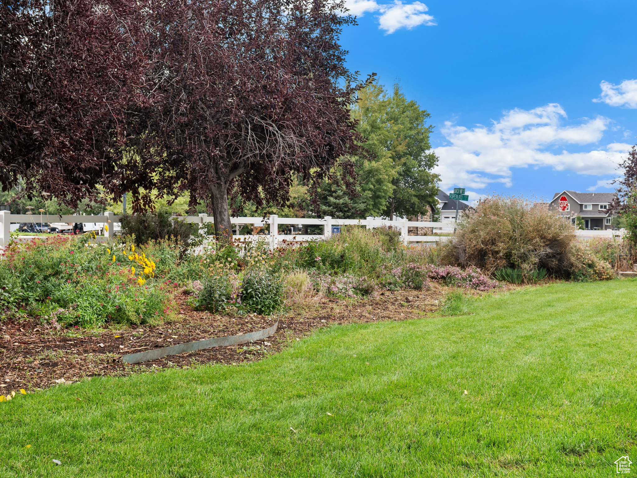 WILD WILLOW - Residential