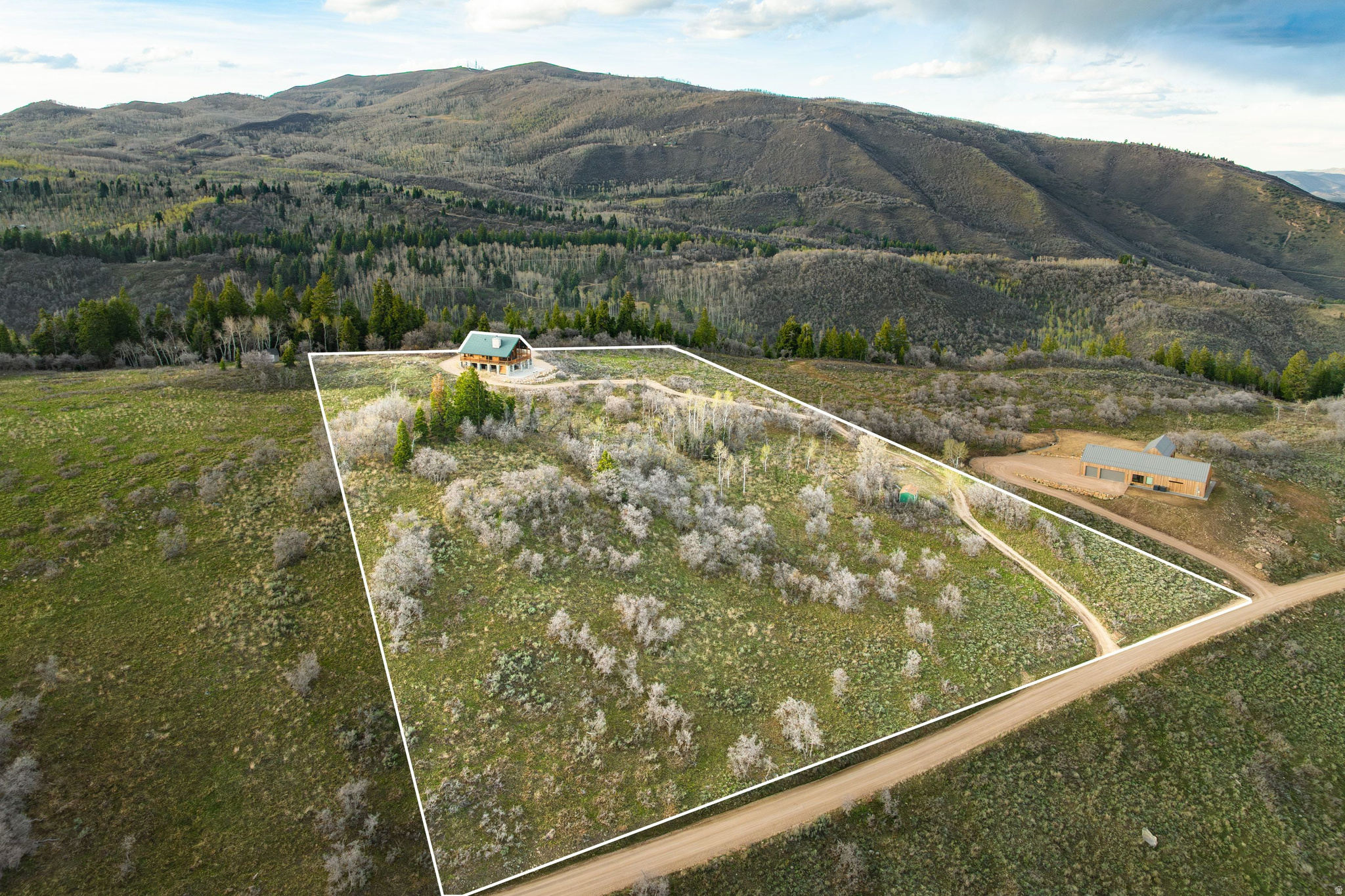 FOREST MEADOWS - Residential
