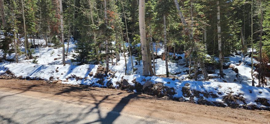 Wonderful lot with very easy access. Fronts on HWY 143 as you enter Brian Head.