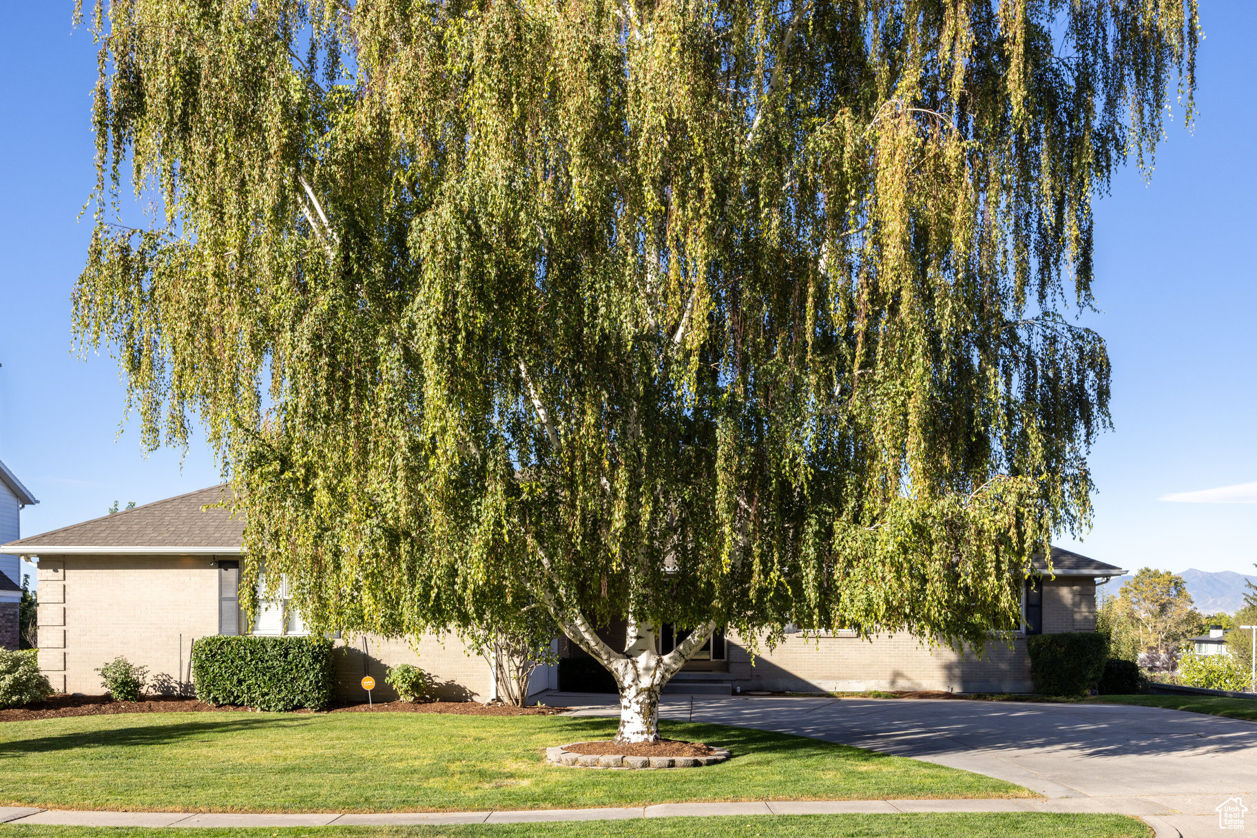 BRIARWOOD - Residential