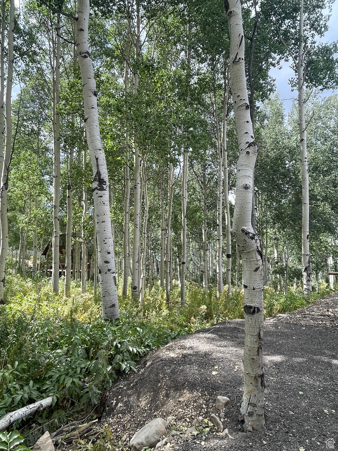 TIMBER LAKES - Land
