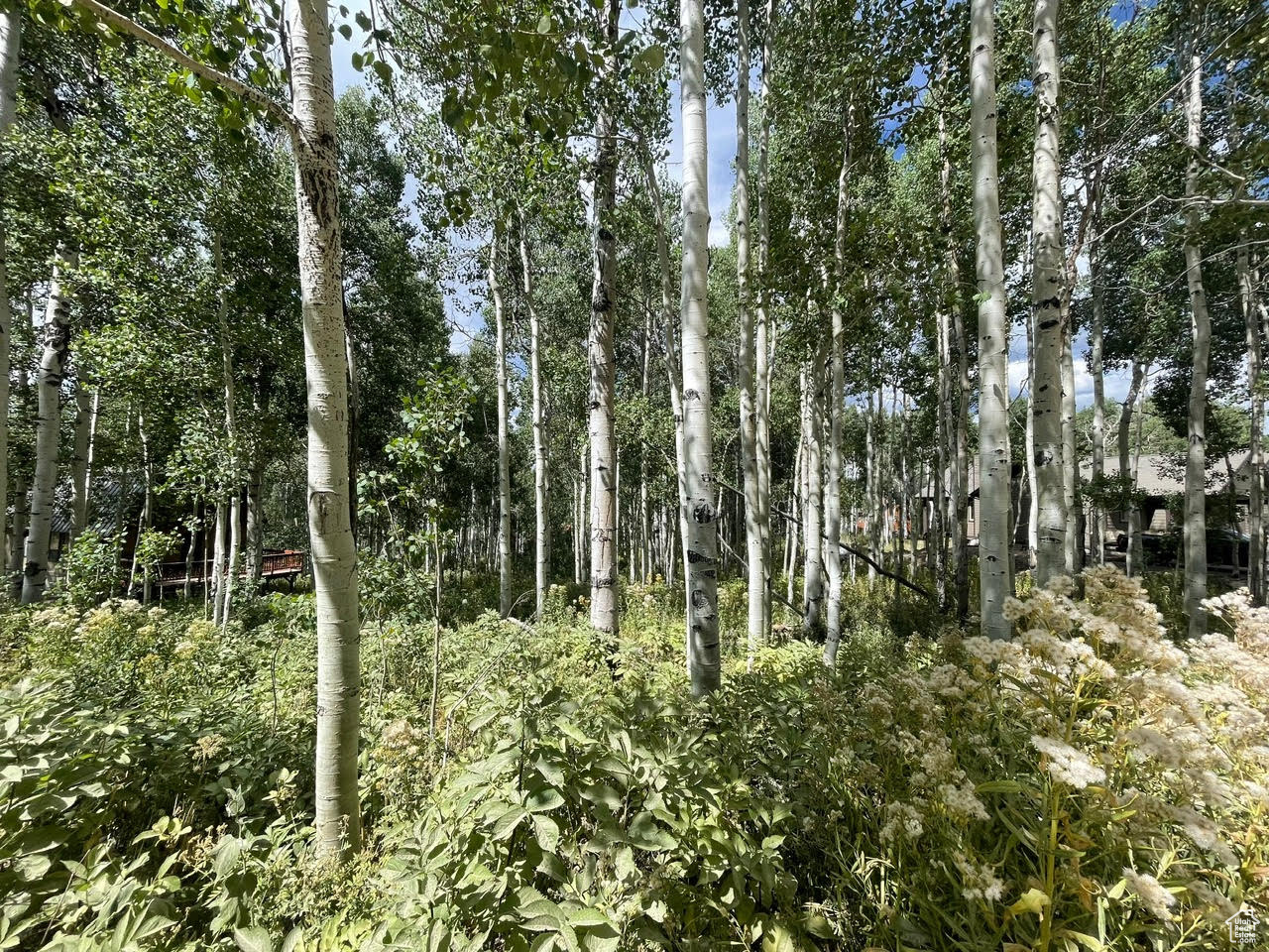 TIMBER LAKES - Land