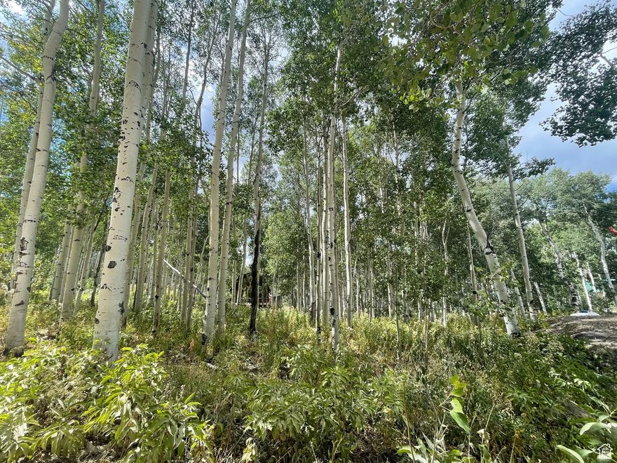 This heavily-wooded upper Timber Lakes lot with a passing perc test offers the ultimate private setting to build your dream mountain getaway! Whether you're a winter enthusiast taking advantage of the direct access through a private easement to acres of endless snowmobiling terrain, or seeking a peaceful summer escape, this place offers it ALL. Enjoy privacy, serene mountain air, the ever-changing vibrant seasonal beauty and ample wildlife. With year-round access, adventure is always within reach! Explore endless recreational activities, from hiking, ATV-ing, and world-class skiing to epic snowmobiling, fishing, and golfing. This dreamy lot is perfect to create your own peaceful cabin retreat or a stunning year-round home. This property offers the best of both worlds, seclusion in nature with the convenience of being only 1 hour from the SLC Airport and just a short drive to Heber, Midway and all the dining and amenities in beautiful Park City.