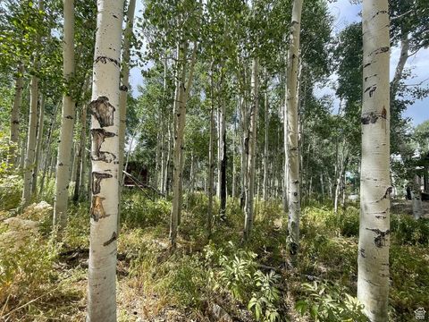 Tiny photo for 11485 VIOLET WAY #1845, Heber City, UT 84032 (MLS # 2105043)