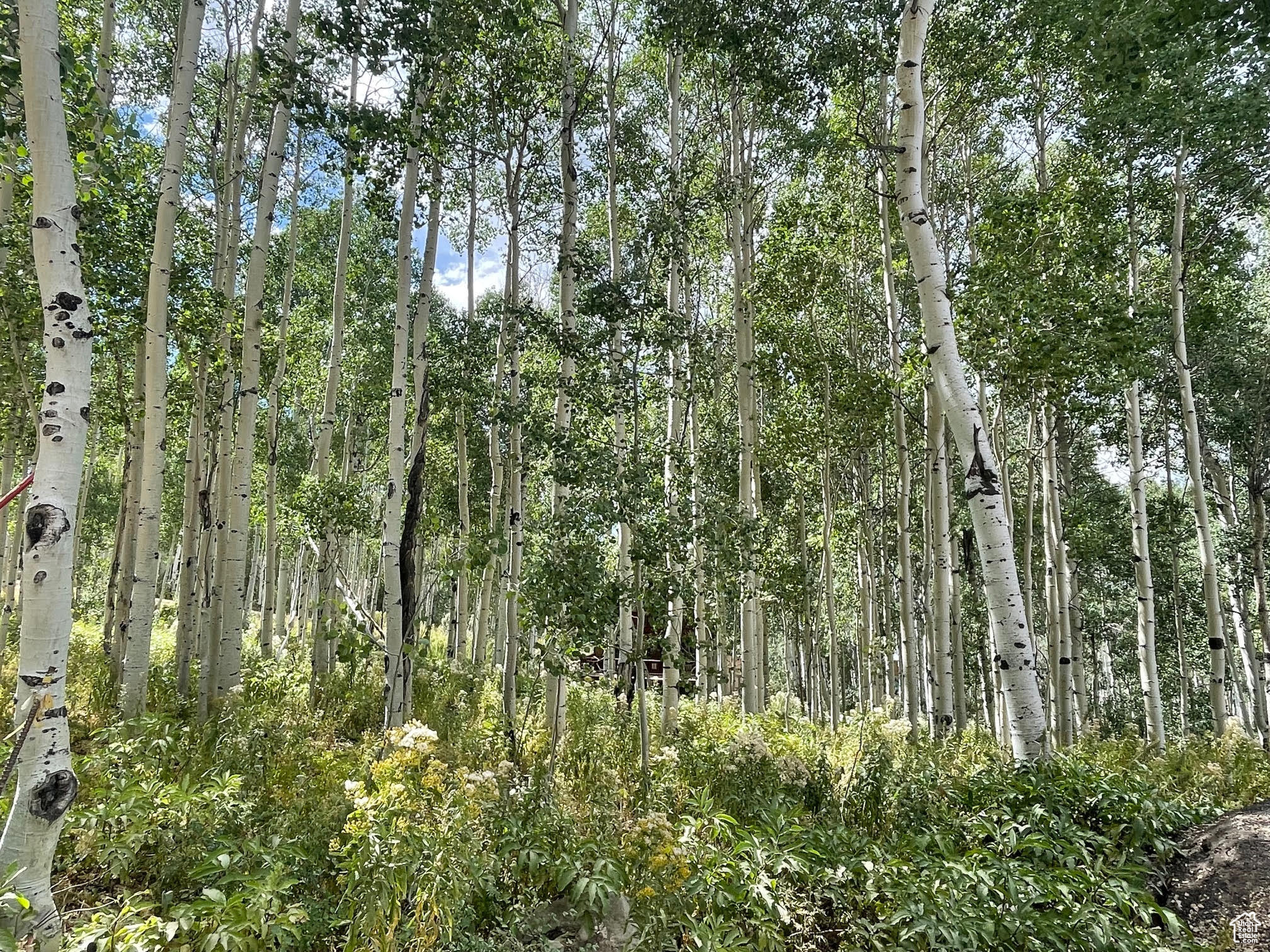 TIMBER LAKES - Land