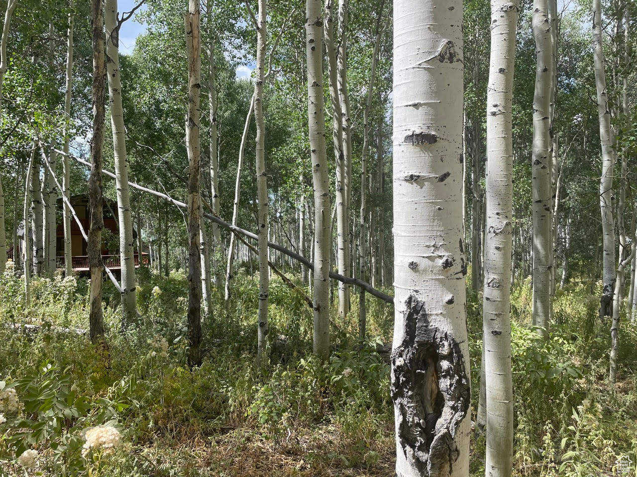TIMBER LAKES - Land