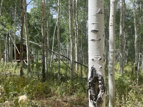 Tiny photo for 11485 VIOLET WAY #1845, Heber City, UT 84032 (MLS # 2105043)