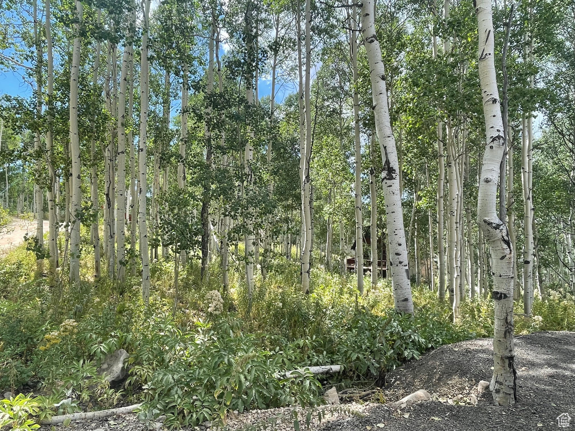 TIMBER LAKES - Land