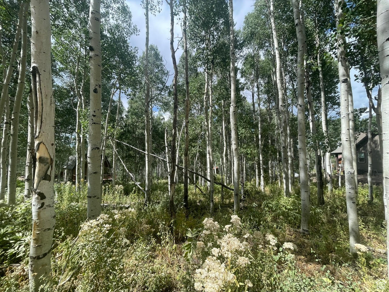 TIMBER LAKES - Land