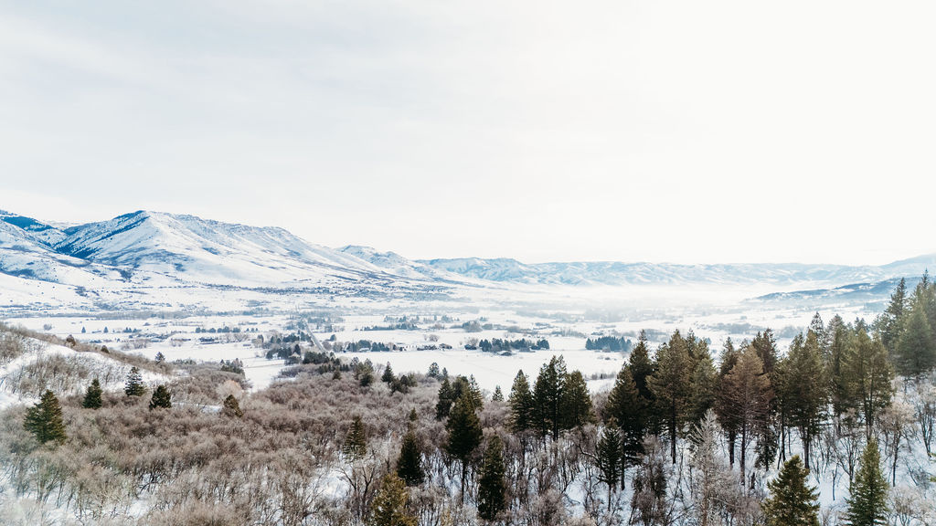 ELKHORN - Land