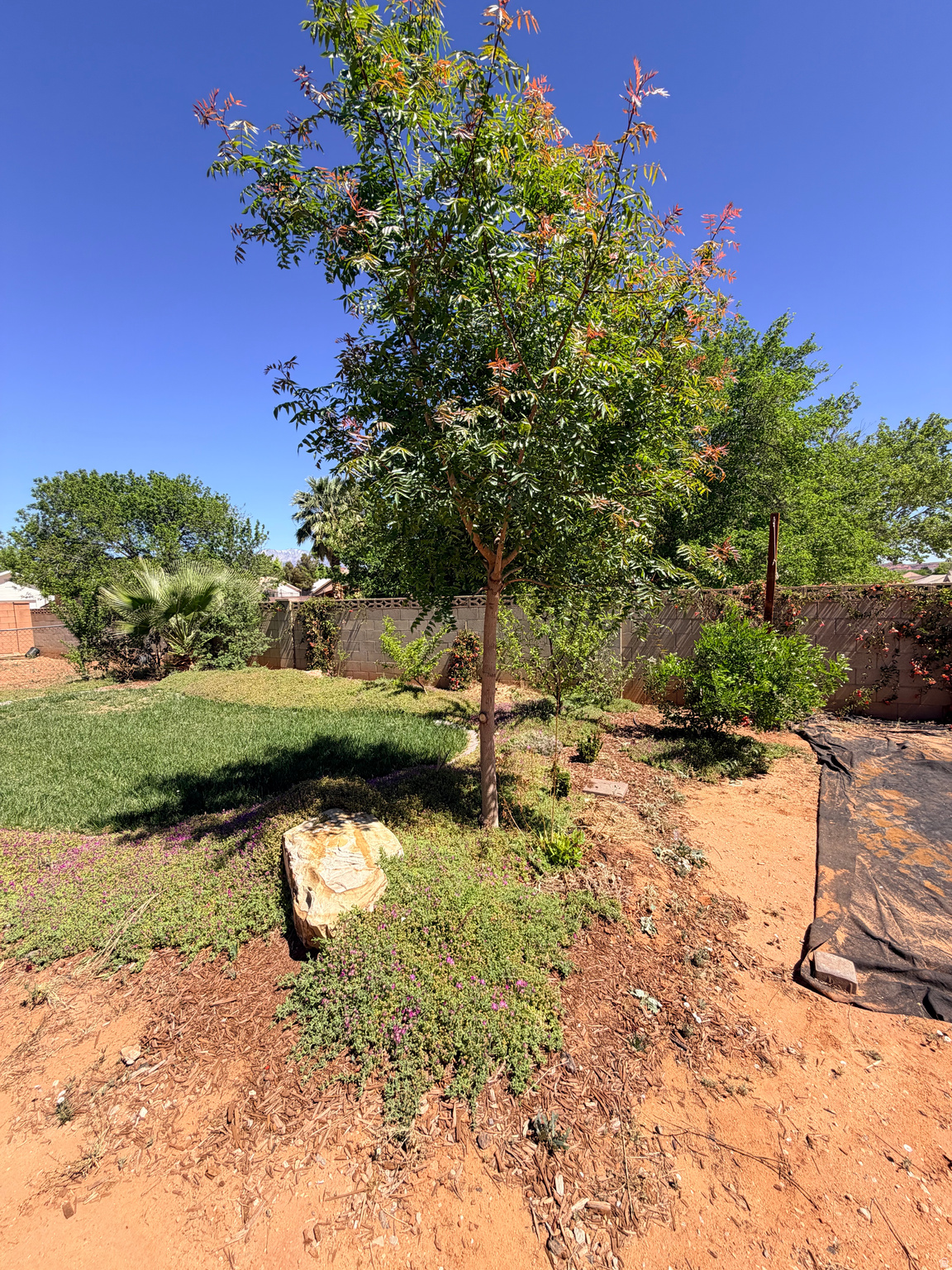 COUNTRY PLACE - Residential