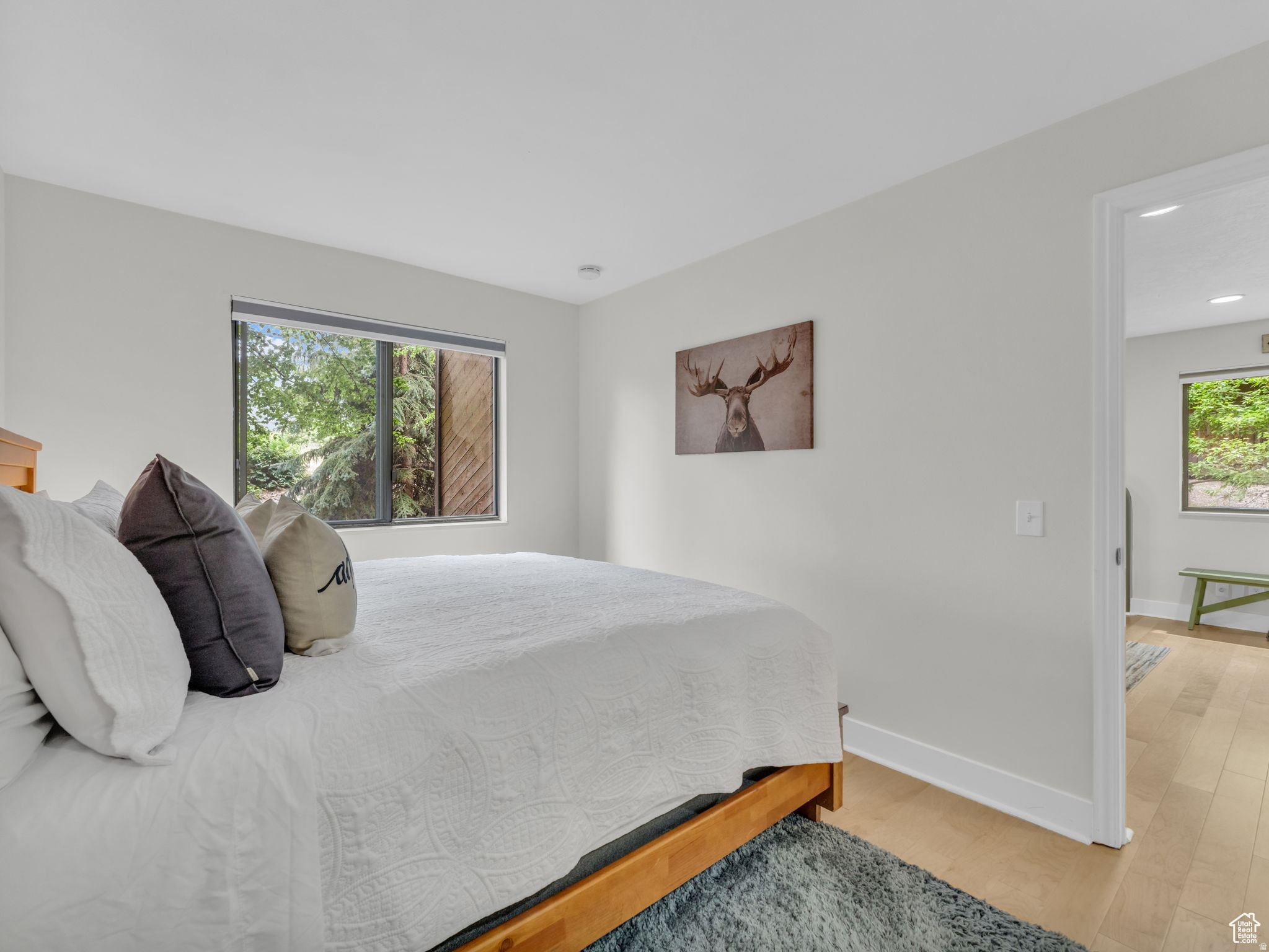 RED PINE - Residential