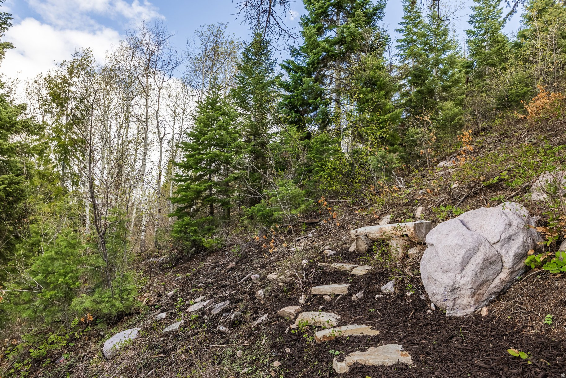 PINEBROOK - Residential