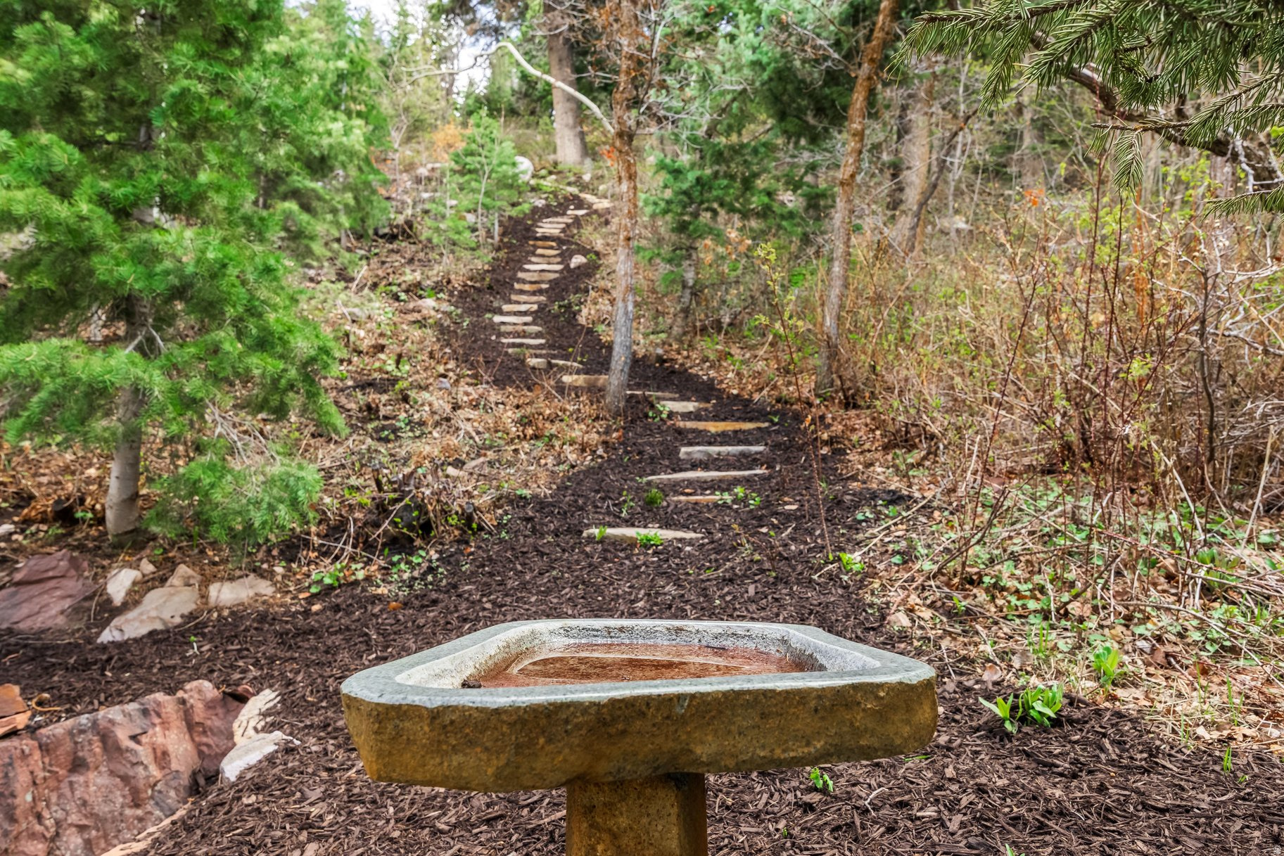 PINEBROOK - Residential