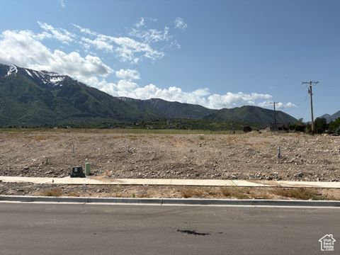 Vacant Land For Sale - 768 E 1610 #89<br/> Salem, UT 84653