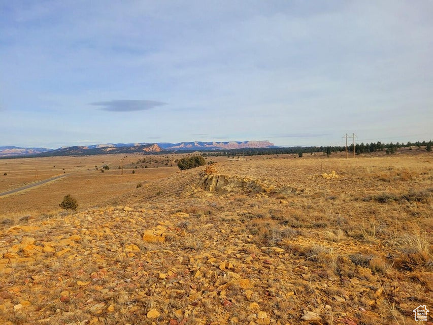 Calling all investors!!! Over 2 million people visit Bryce Canyon National Park each year so invest in this rare property before it is to late. Located on John's Valley Rd off HWY 12 the property is currently governed by Garfield County however the property borders Bryce Canyon City and could possibly be annexed into the city limits. The 68 acres is zoned commercial which could possibly allow for a hotel, lodge, RV park, small cabins or any other business opportunity. The municipal power company main power lines run through the property. The property currently comes with a 25 year lease on 2 ac ft water rights leased from SITLA. The property is adjacent to the public Bryce Canyon Airport which accommodates about 3,000 charter, private, and commercial flights each year.  Bryce Canyon is part of the Mighty 5 National Parks and surrounded by many other national monuments, national forests, state parks, and small towns that weave the texture into Southern Utah. Call for more information.