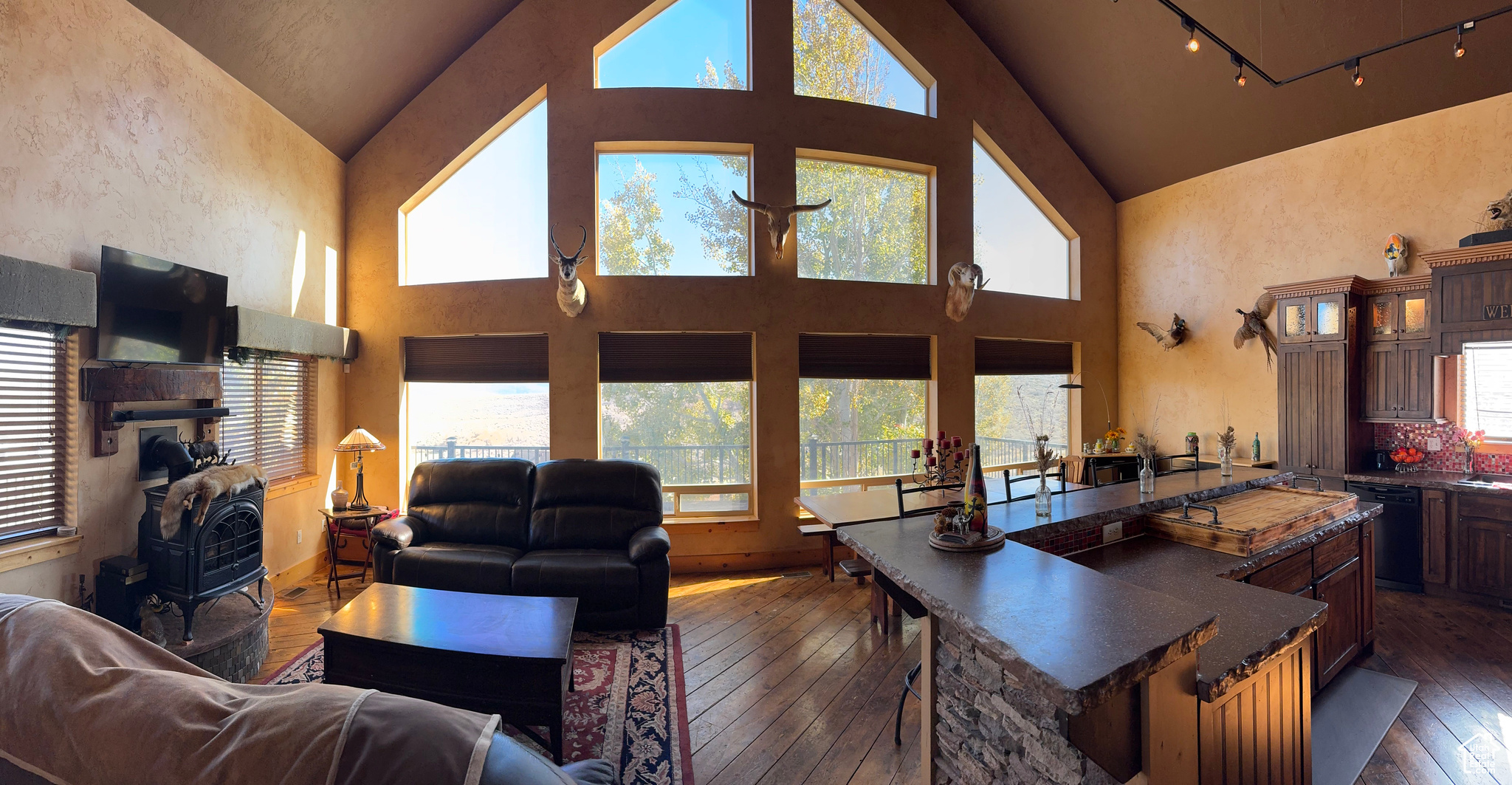 OMEGA SUB - Residential