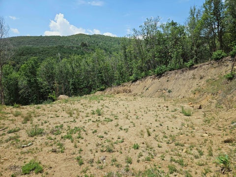 Tiny photo for 29 E UPPER BIRCH CREEK DR S #L29, Fairview, UT 84629 (MLS # 2177872)