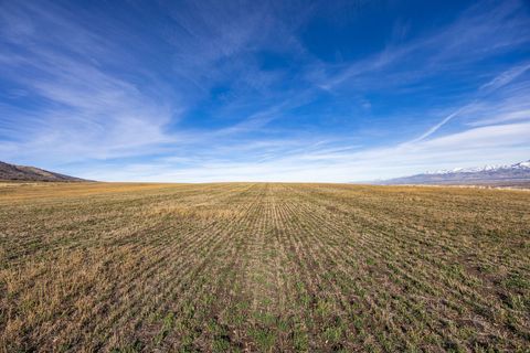 Tiny photo for 2500 S 6400 W, Mendon, UT 84325 (MLS # 2127599)