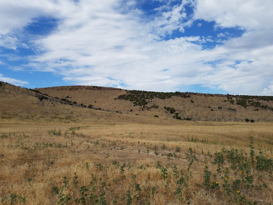 80 acres available. View in map report for location. All info provided as a courtesy estimate only and was obtained from County. Buyer is advised to obtain independent info