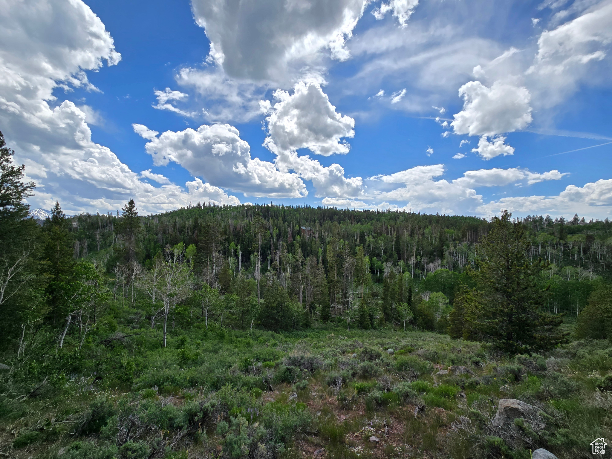 MANOR LANDS - Land