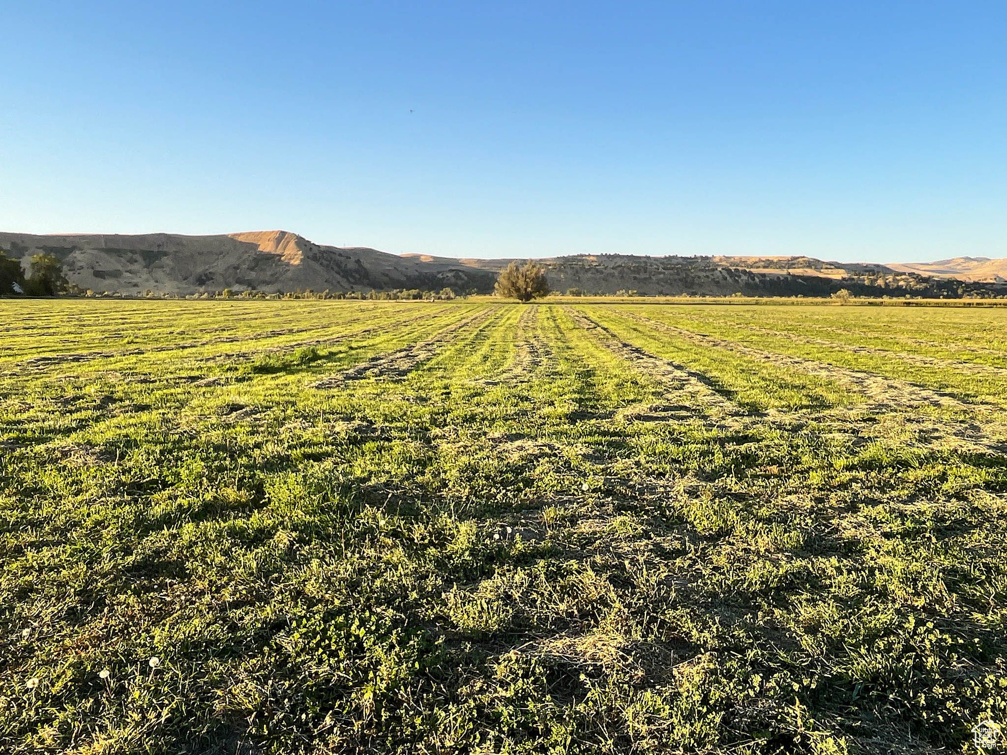 Land, Preston, Idaho image 18