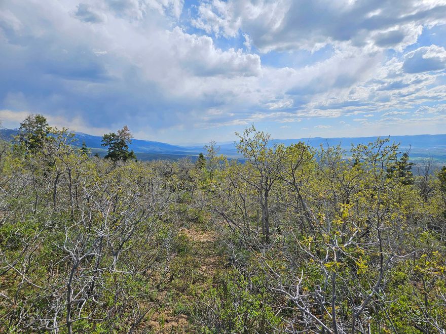 Lot 1246 in the Aspen Hills Subdivision. Unleash your mountain dreams! property offers stunning views of the mountains & valley. Located near the top of Aspen Hills Subdivision. Great mountain get away with plenty of pine trees & good road access. Perfect for camping, trailers or cabins (excavation needed). Don't wait, contact us today!