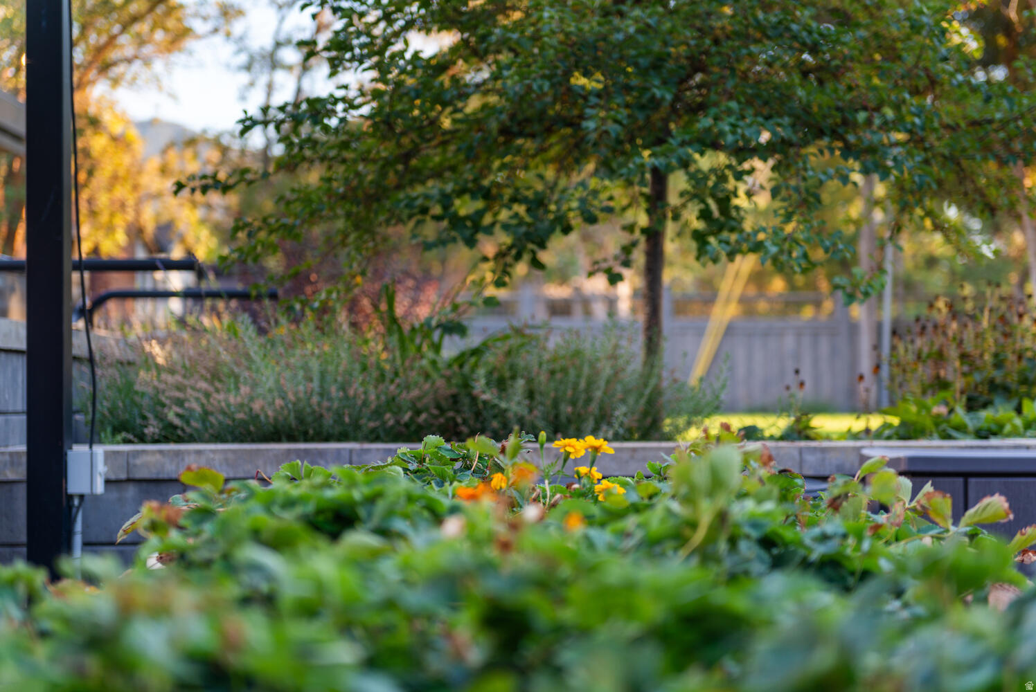 WILLOWCREEK - Residential